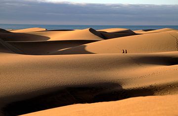 Spaziergang in der Wüste von Jaap Spaans