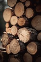 Holzstapel im Winter