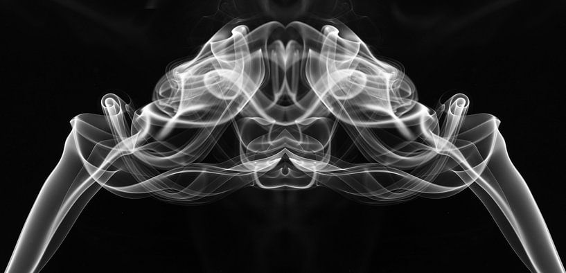 Rook gezicht / Fantasy figure in smoke by Elles Rijsdijk