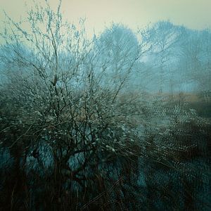 Flowering Blackthorn in dreamscape