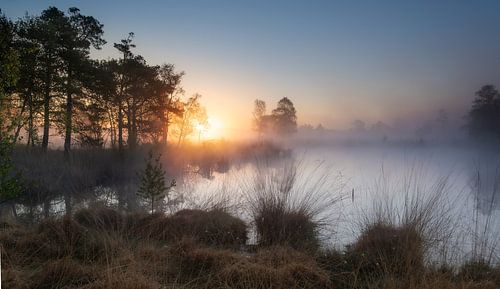 La force de la nature
