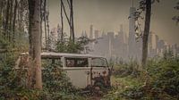 Car in the jungle