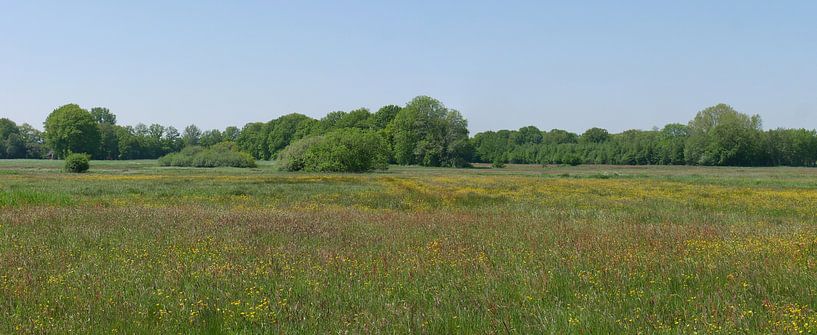 Das Reesttal mit blühenden Heuwiesen. von Wim vd Neut