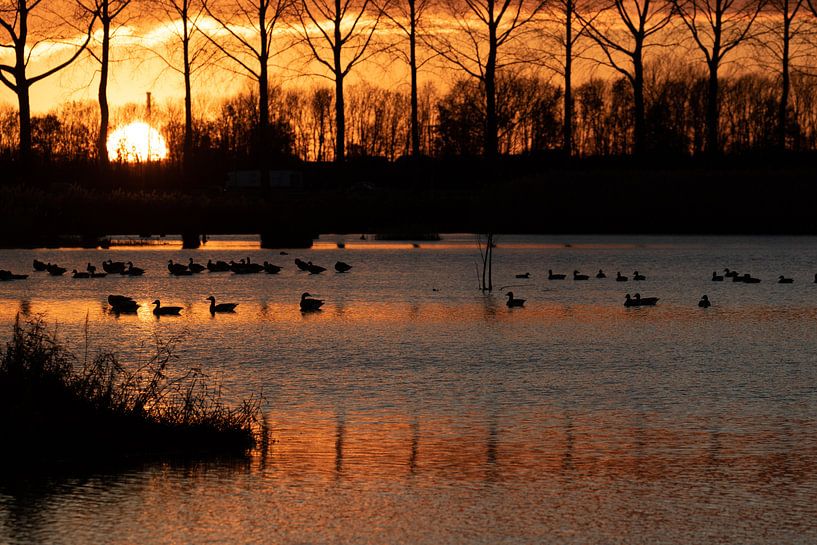 Zonsondergang met reflecties van Anne Ponsen