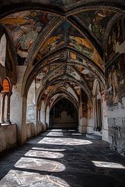 Een blik op Brixen II | Een reis door de Dolomieten, Italië van Roos Maryne - Natuur fotografie