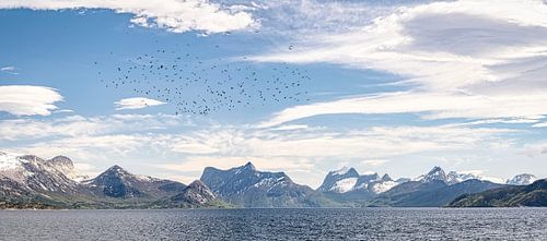 Mountain peaks of the Lofoten, Norway