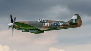 Supermarine Spitfire PR.XIX PS890.