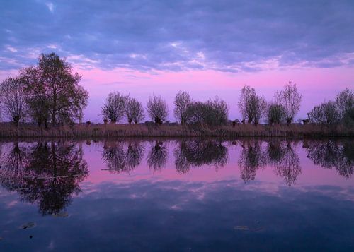 Reflection on the Wetering by Willemijn Wolthaus