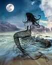 Mermaid Miracle van Claudia Maglio thumbnail