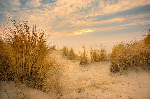 Door de duinen.