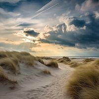 In the dunes