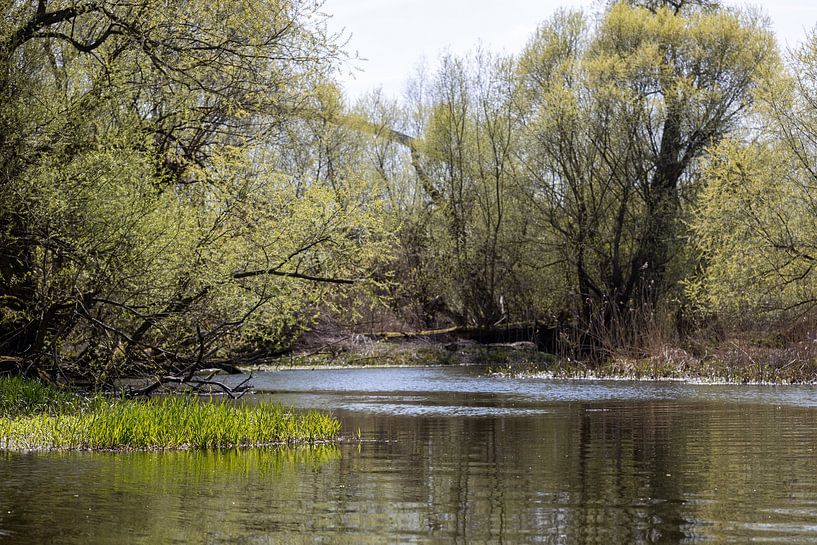 Rathenow &quot;City of Optics by David Krause