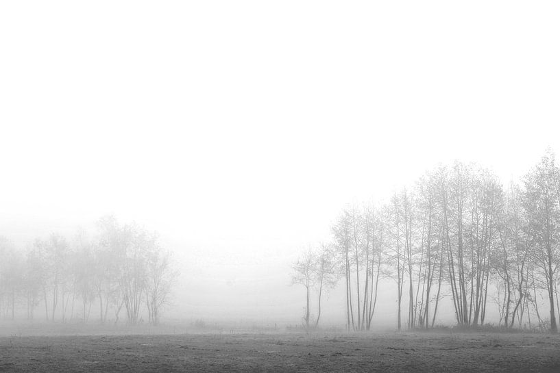 Das tägliche Leben von JRobert Photography