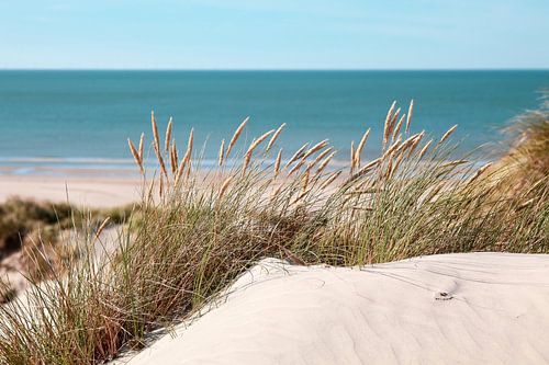 De strand achter de duinen