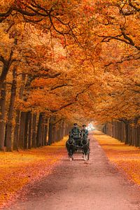 voiture sur l'avenue kroondomein het loo sur Patrick Oosterman