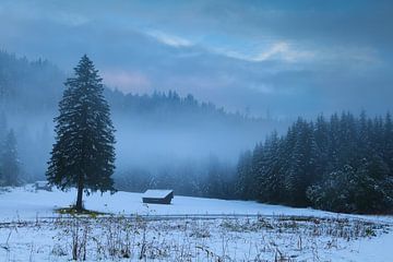 Cozy hut and cold winter