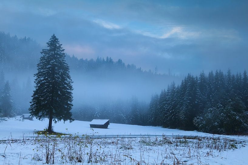 Cozy hut and cold winter von Olha Rohulya