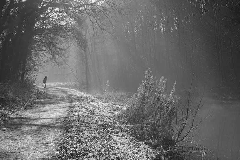 Sandy canal in the fog by Niels Hamelynck