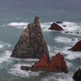 Entre déferlement et éternité sur Walter G. Allgöwer