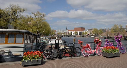 A colourful Skinny Bridge in Amsterdam