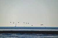 West Terschelling