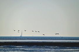 West Terschelling by Frank Mossink