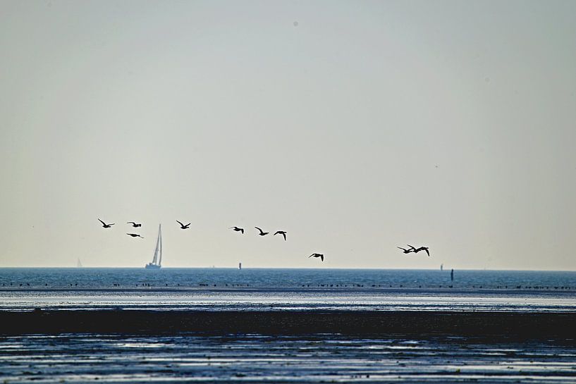 West Terschelling von Frank Mossink