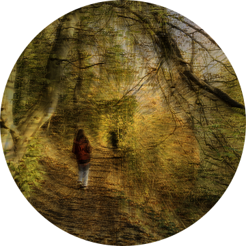 Vrouw in het bos van Dieter Walther