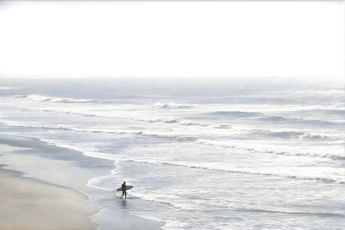 Noordzee surfer