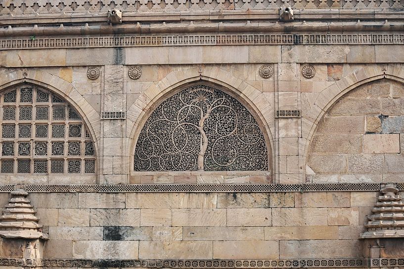 The sculpted elegance of the Sidi Saiyyed mosque by Frank Photos