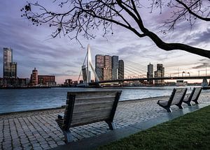 Skyline van Rotterdam van Jeroen Mikkers
