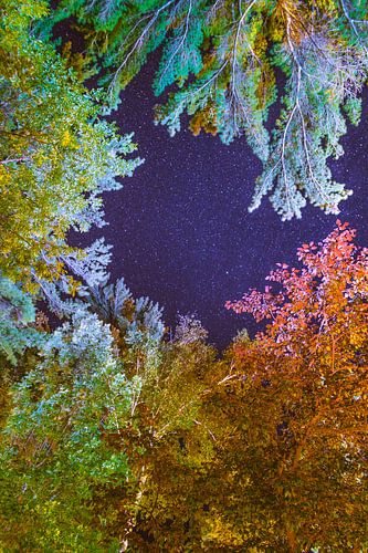 Kleuren van de Nacht