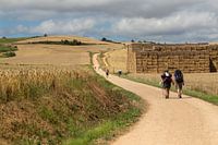 Way of Saint James in the Rioja