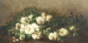 Fleurs blanches sur David Potter