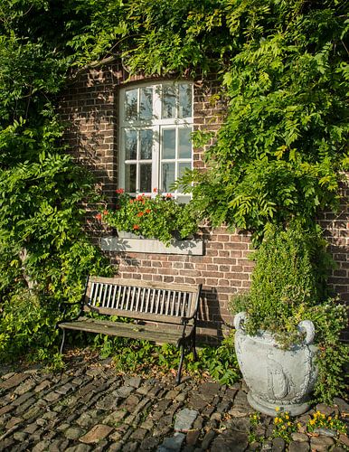 gevel met groen en bankje