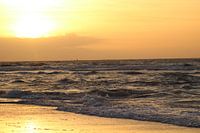 Beach Vlieland
