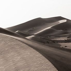 Desert by Herwin Wielink