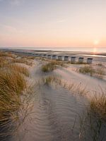 Perfect Beach