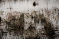 Drasland, riet en draad I van Onbegonnen werk thumbnail