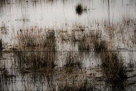 Drasland, Schilf und Draht I von Onbegonnen werk