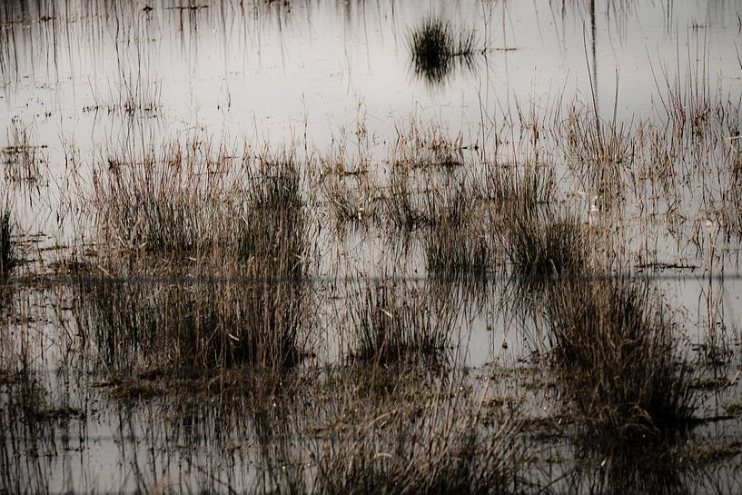 Drasland, riet en draad I van Onbegonnen werk