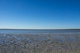 USA, Florida, Tide flat of everglades swamp by adventure-photos