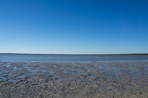 Verenigde Staten, Florida, Getijdenvlakte van everglades-moeras