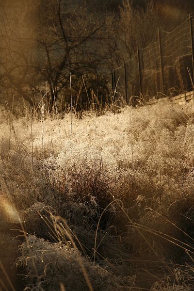 Souvenirs par Betty Heideman