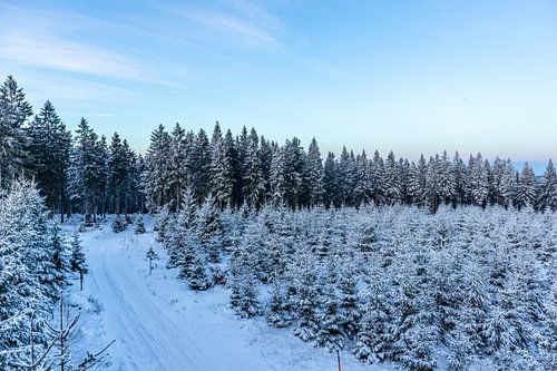 Première randonnée hivernale sur le Rennsteig
