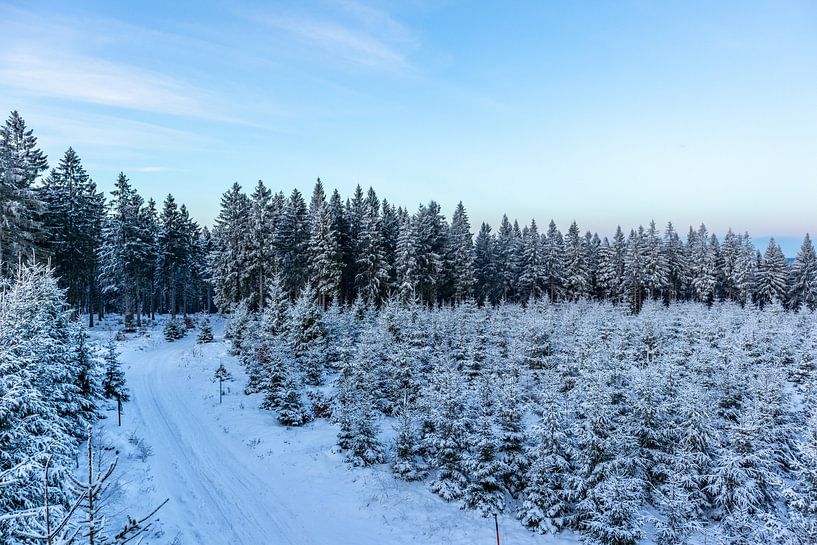 First winter hike on the Rennsteig by Oliver Hlavaty