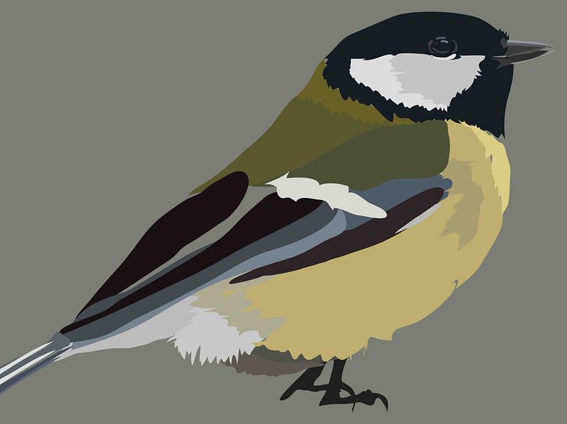 Illustration of Great Tit bird by Kirtah Designs