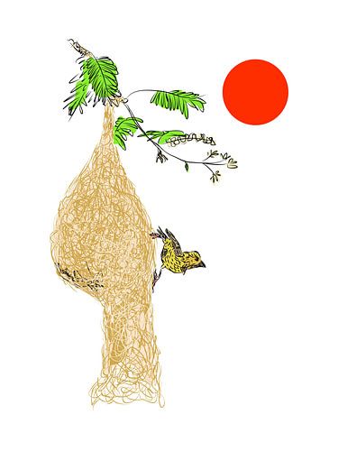 Vogelnest Illustration mit Webervogel von Golden Haze Studio