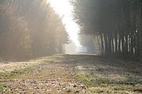 Vroege zondag morgen