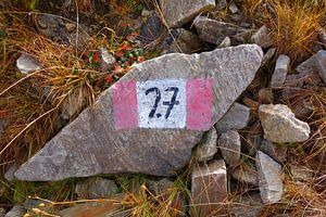Markierter Felsblock am Bergpfad